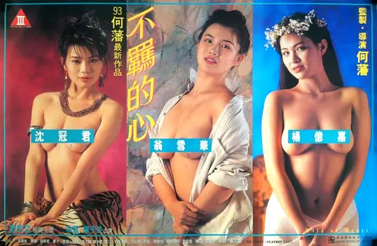 不羈的心1993